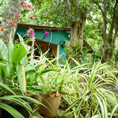 Palitha Homestay Sigiriya Exterior foto