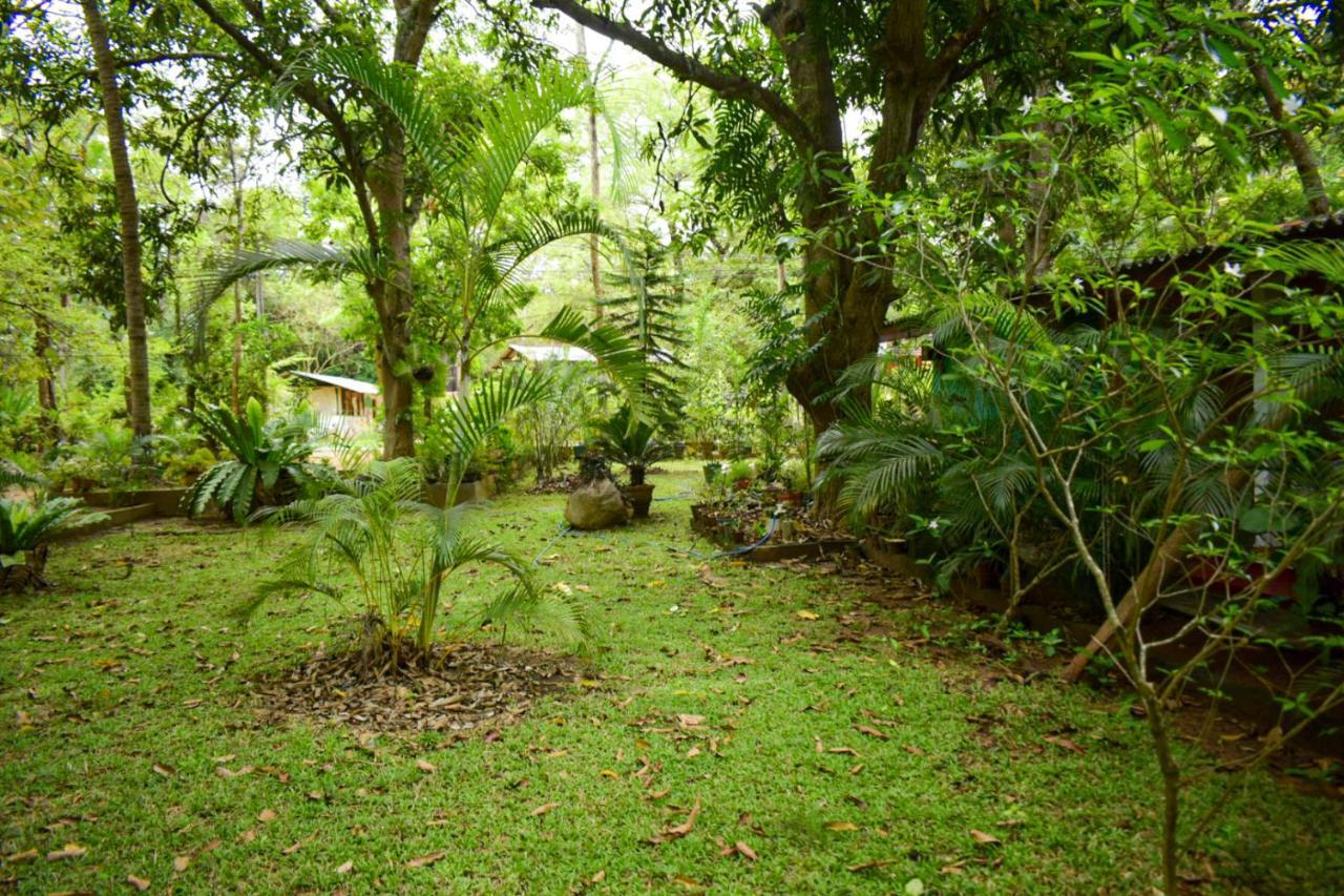 Palitha Homestay Sigiriya Exterior foto