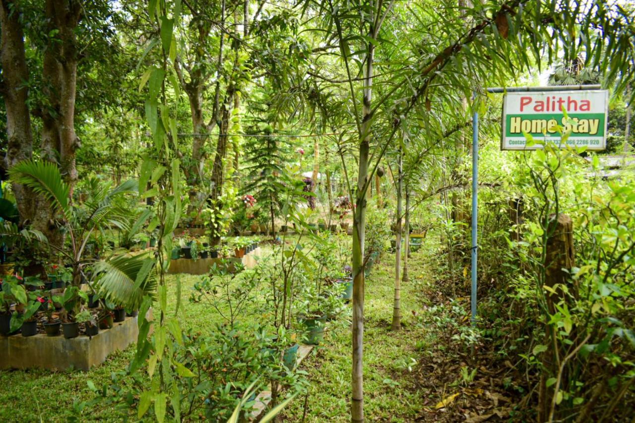 Palitha Homestay Sigiriya Exterior foto