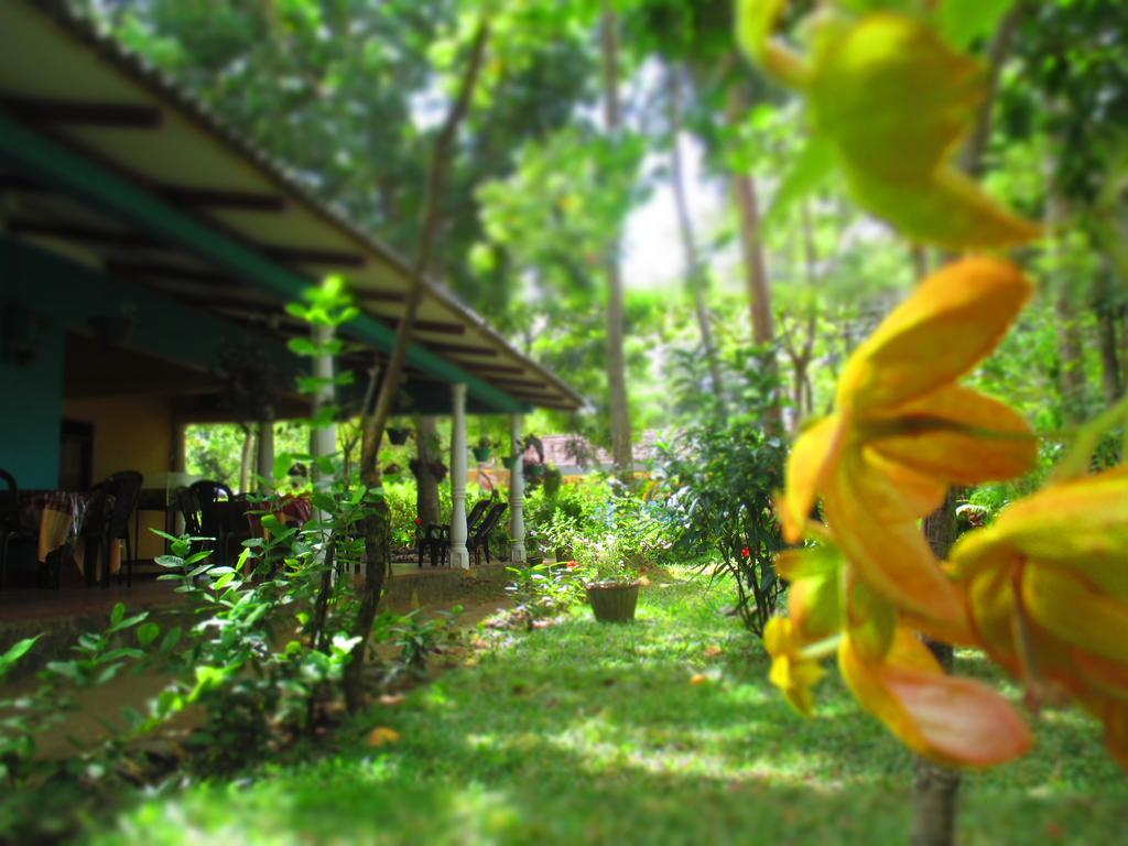 Palitha Homestay Sigiriya Exterior foto