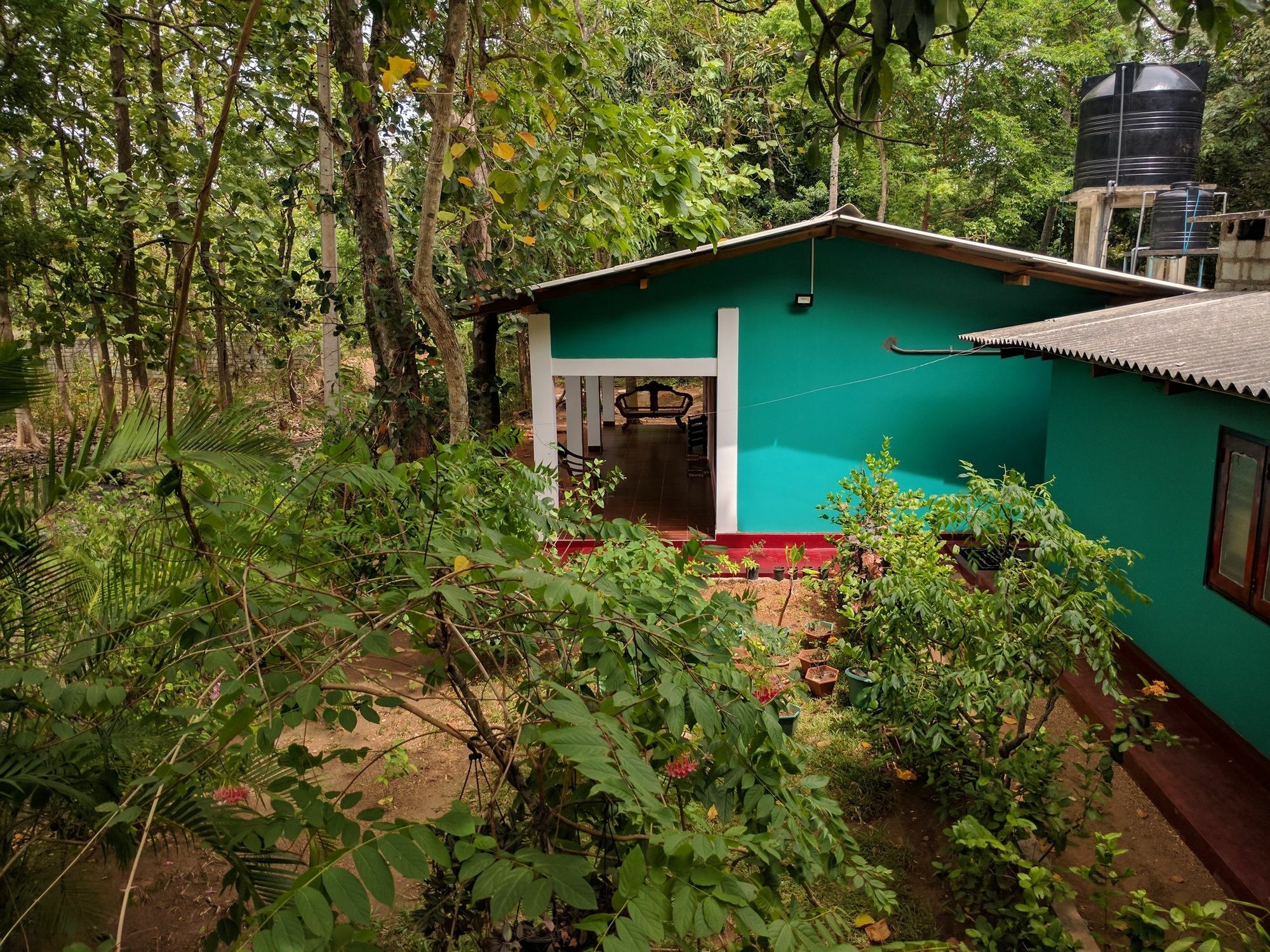 Palitha Homestay Sigiriya Exterior foto